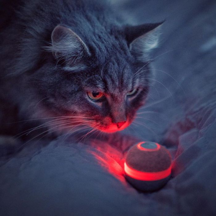 Cheerble Ball M1 für Katzen grau