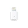 Apple Lightning zu Micro USB Adapter sticky